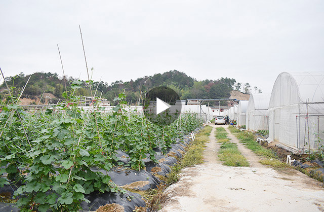 梅州市莲盛生态农业科技有限公司 梅州市莲盛生态农业科技有限公司