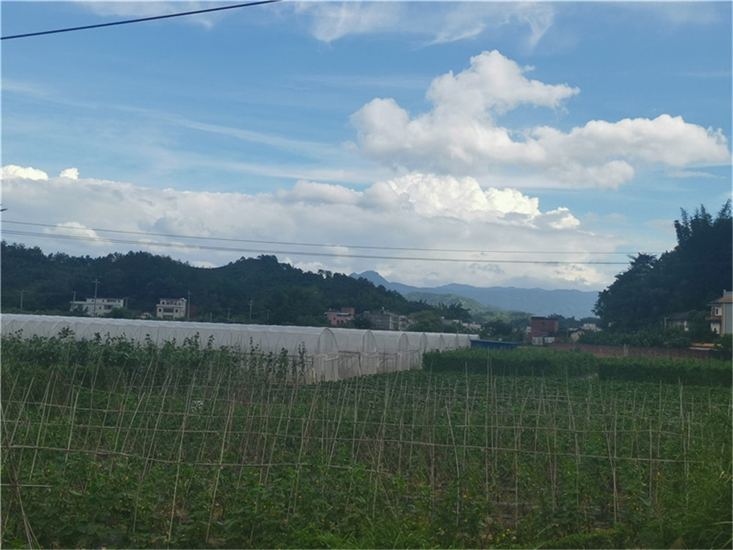 基地环境