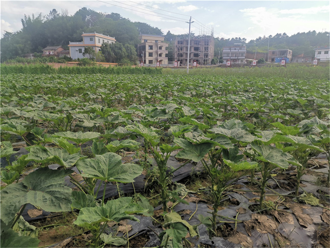 基地环境