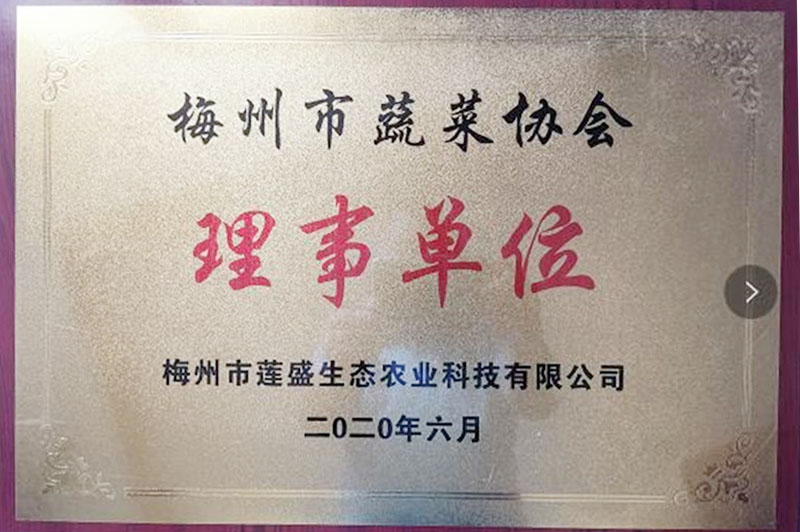梅州市蔬菜协会理事单位